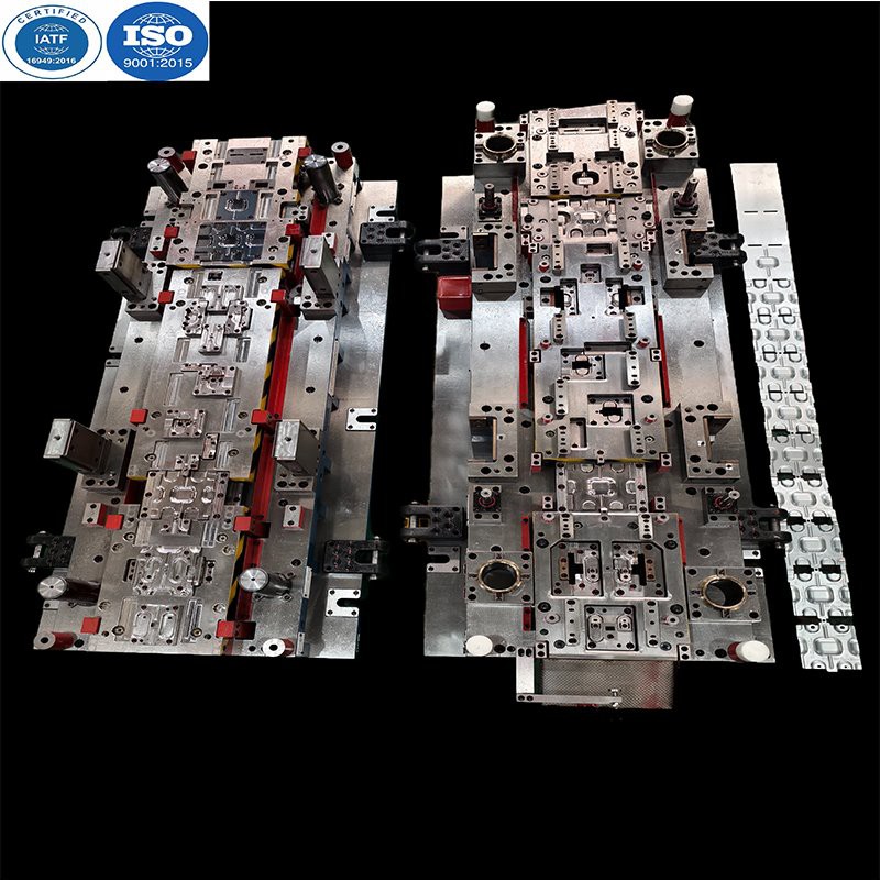 La xapa progressiva mor